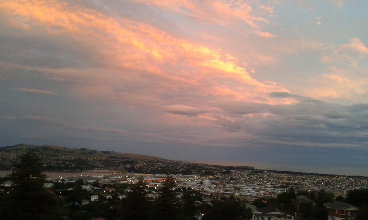 Appartamento Beautiful Panoramic Views Dunedin Esterno foto